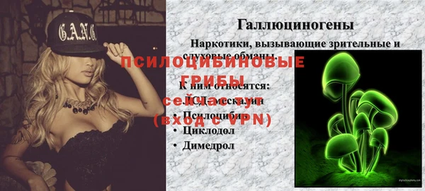 трава Абаза