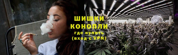 трава Абаза
