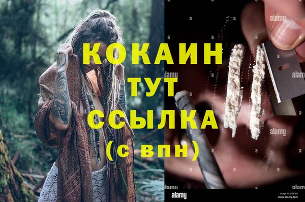 трава Абаза